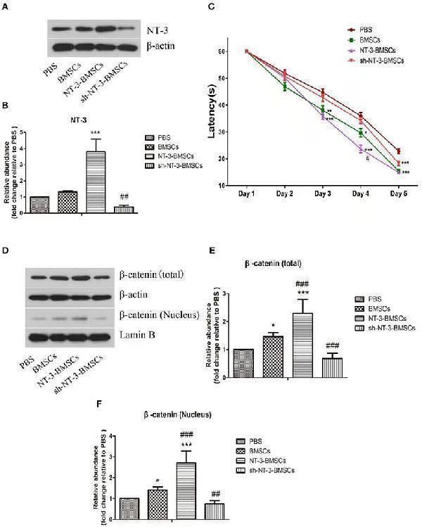 pa1062 fncel 15 629356 g005