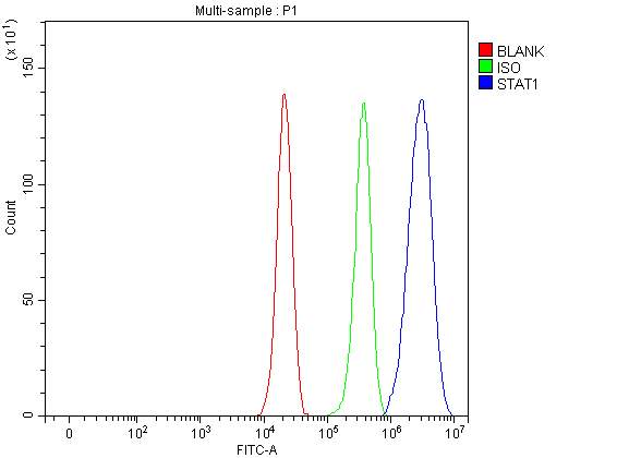 pa1075 stat1 primary antibodies fcm testing 3