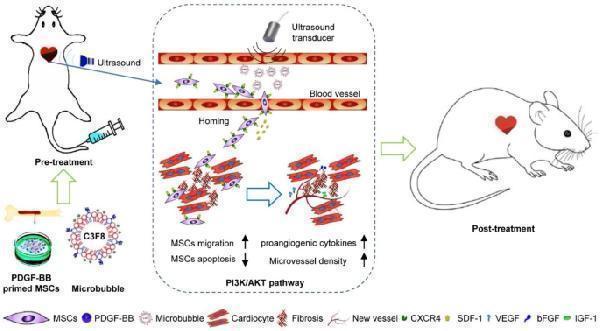 pa1080 12951_2023_2204_fig1_html
