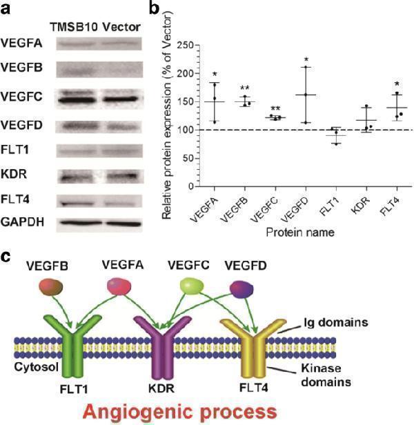 pa1080 13287_2018_917_fig5_html