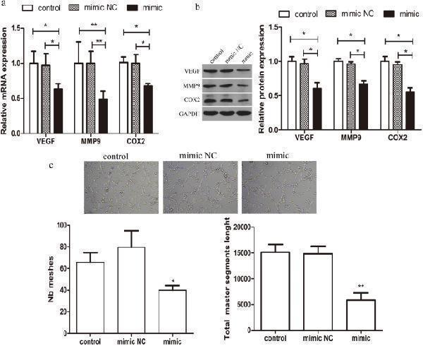 pa1080 41598_2021_85295_fig5_html