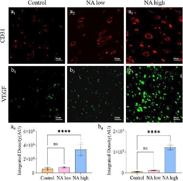 pa1080 fphar 15 1487183 g005