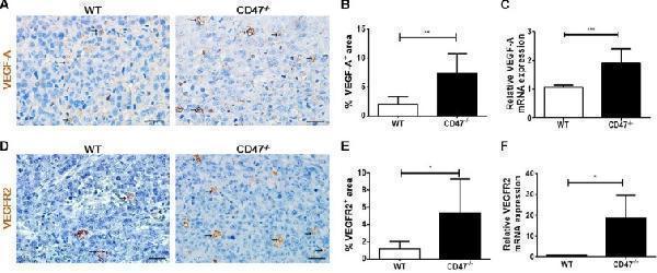 pa1080 oncotarget 08 22406 g003