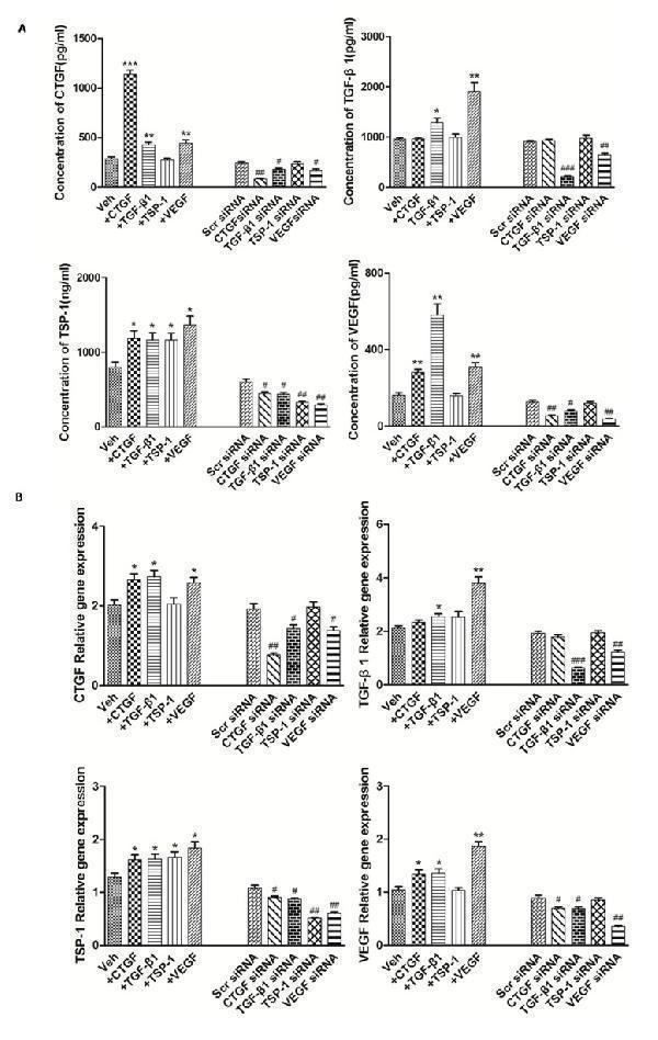 pa1080 oncotarget 08 73529 g002