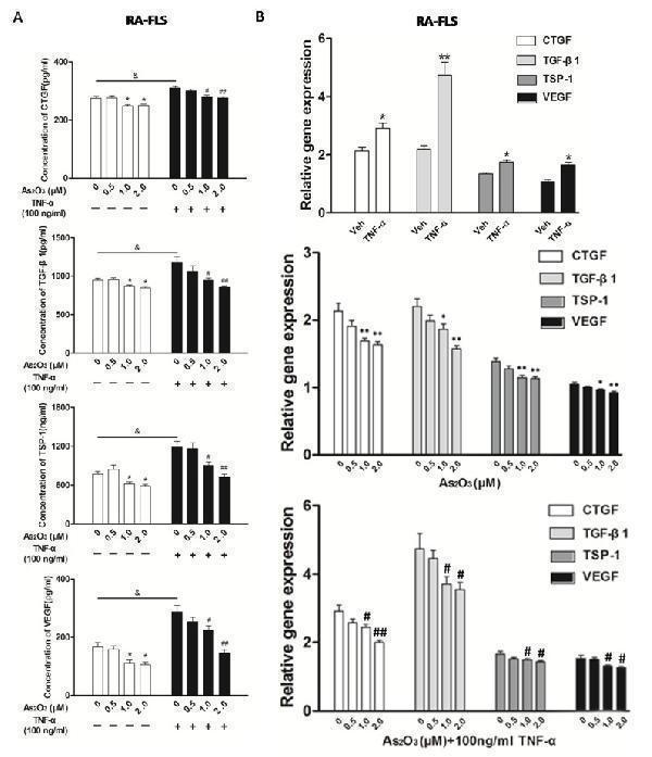 pa1080 oncotarget 08 73529 g003a
