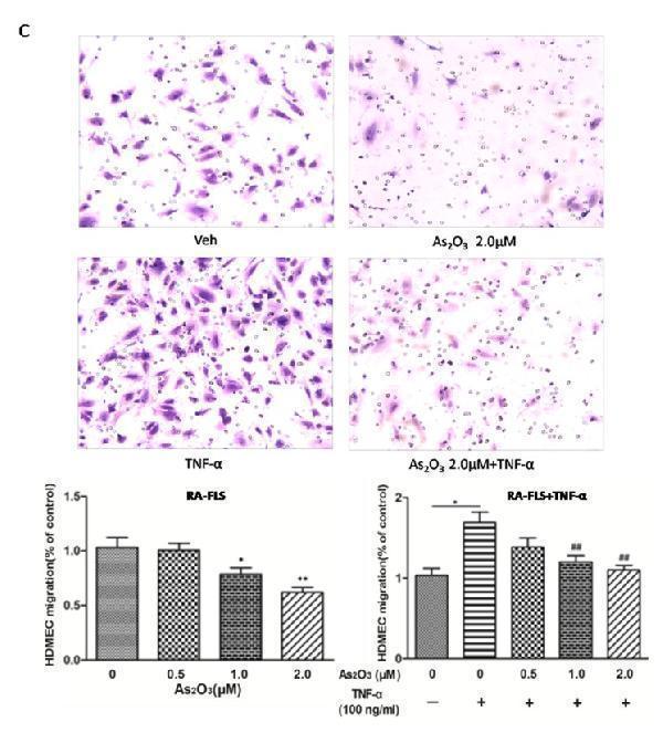 pa1080 oncotarget 08 73529 g003b