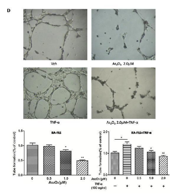 pa1080 oncotarget 08 73529 g003c