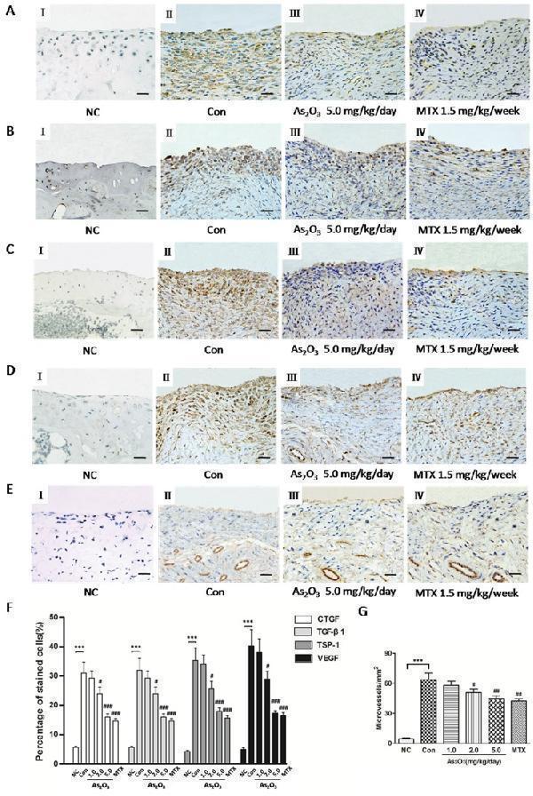 pa1080 oncotarget 08 73529 g006