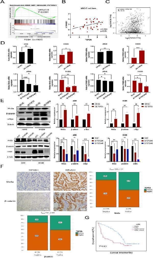 pa1212 41598_2024_63055_fig4_html