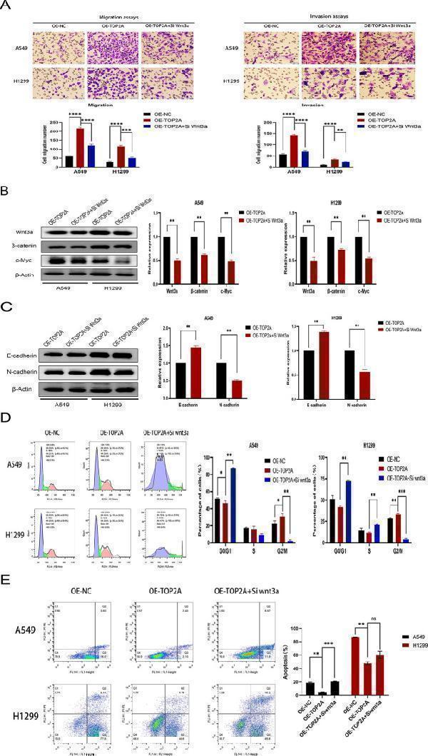 pa1212 41598_2024_63055_fig5_html