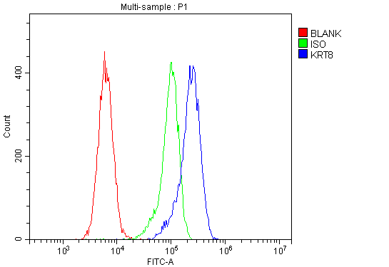  Flow Cytometry analysis of CACO-2 cells using anti-KRT8 antibody (PA1240)