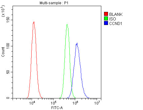  Flow Cytometry analysis of A431 cells using anti-Cyclin D1 antibody (PA1245-2)