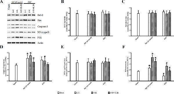 pa1302 1 fphar 10 01096 g007