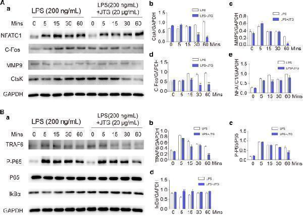 pa1318 13020_2022_627_fig10_html