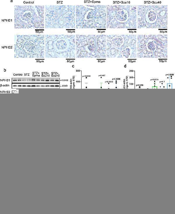 pa1322 1 13659_2024_446_fig4_html