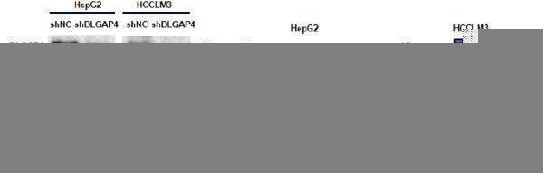 pa1328 41598_2022_23837_fig9_html