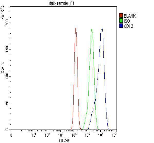 pa1328 cdh2 primary antibodies fcm testing 1