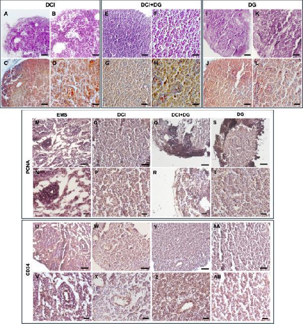 pa1334 10020_2025_1178_fig3_html