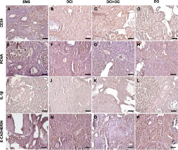 pa1334 10020_2025_1178_fig6_html