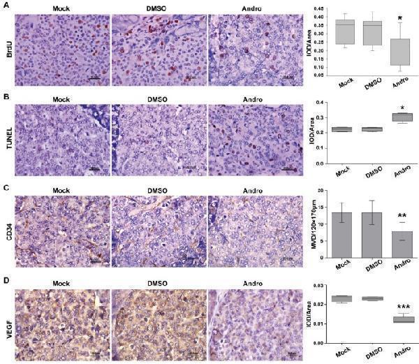 pa1334 ijbsv10p0404g002