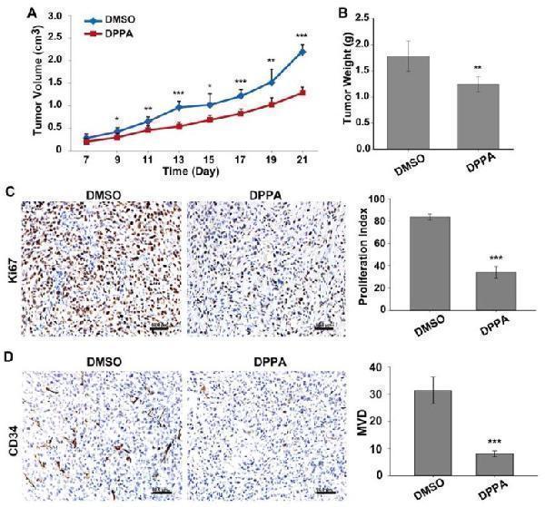 pa1334 ijbsv13p0471g002