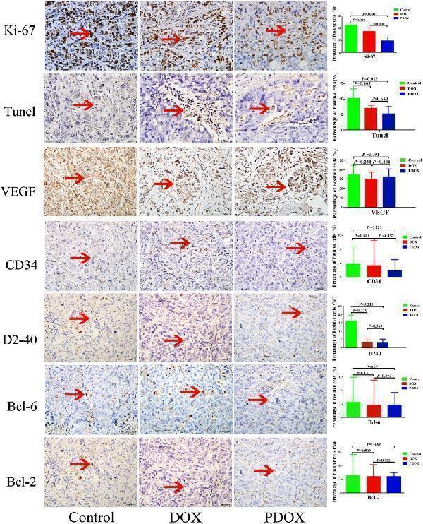 pa1334 oncotarget 09 1957 g005