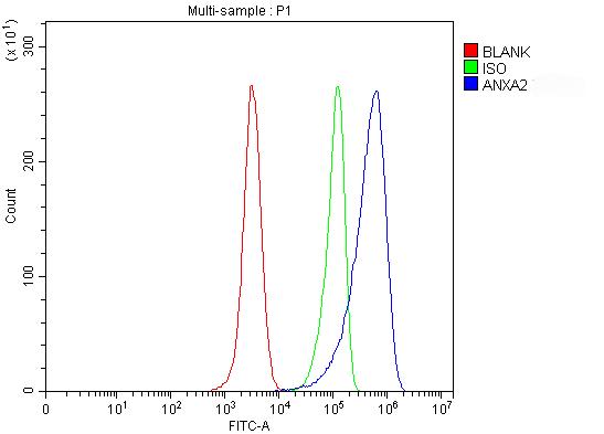 pa1348 anxa2 primary antibodies fcm testing 1
