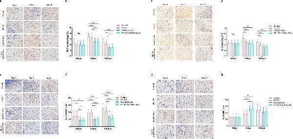 pa1352 13287_2022_2980_fig7_html