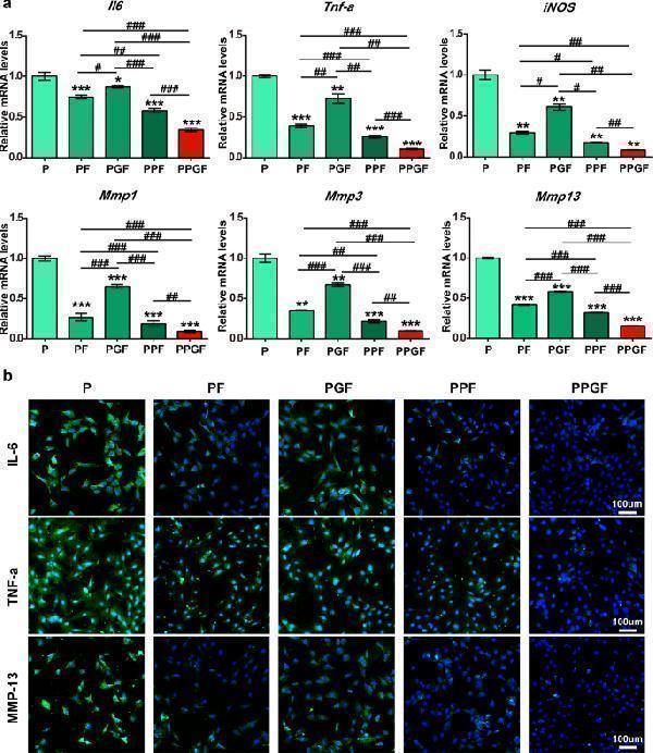 pa1352 41536_2022_254_fig6_html