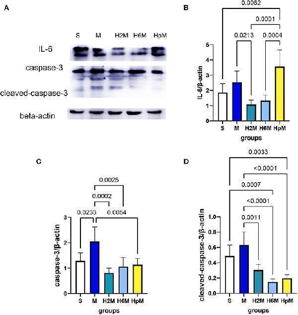 pa1352 fneur 12 750908 g004