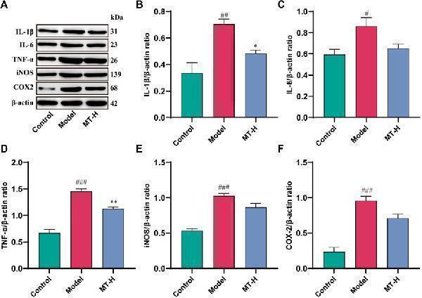pa1352 fphar 15 1430599 g003