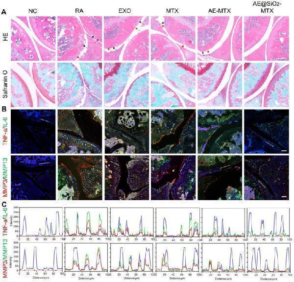 pa1352 thnov15p6553g008