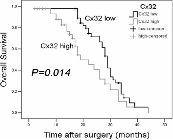 pa1367 13046_2019_1142_fig2_html