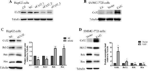 pa1367 13046_2019_1142_fig3_html