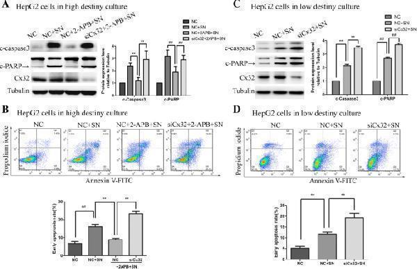 pa1367 13046_2019_1142_fig4_html