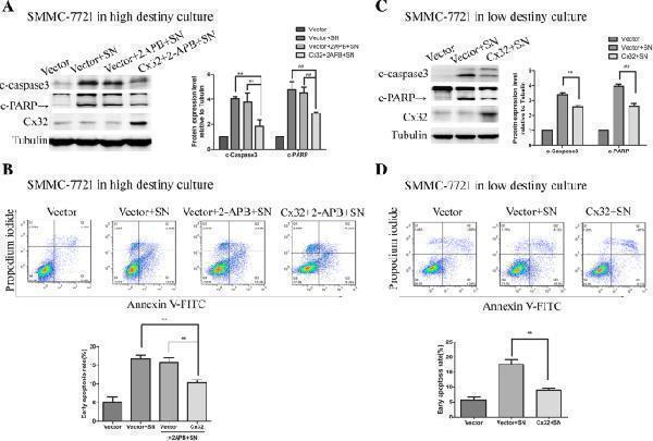 pa1367 13046_2019_1142_fig5_html