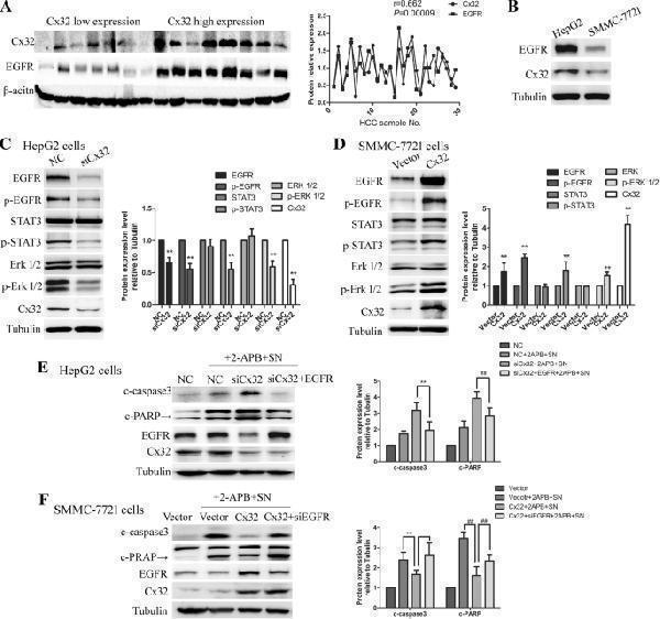 pa1367 13046_2019_1142_fig6_html