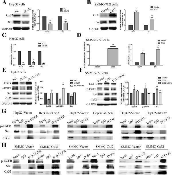 pa1367 13046_2019_1142_fig7_html