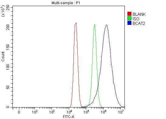 pa1502 bcat2 primary antibodies fcm testing 1