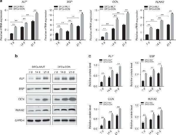 pa1505 41368_2020_88_fig4_html