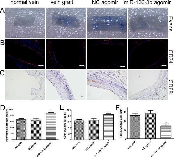 pa1518 oncotarget 08 106790 g008