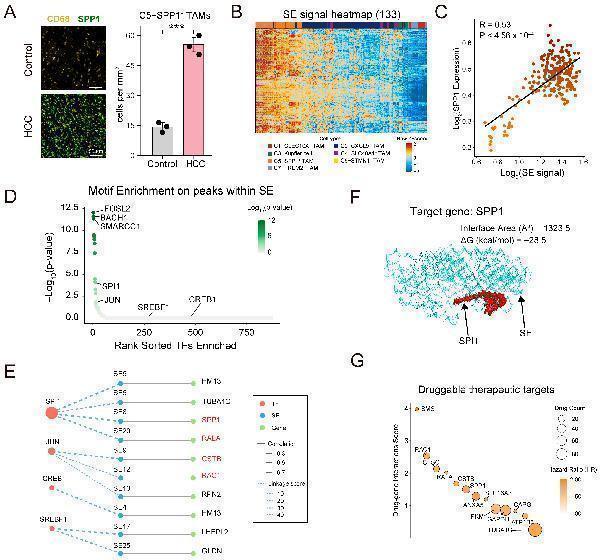 pa1518_genes 16 00817 g007