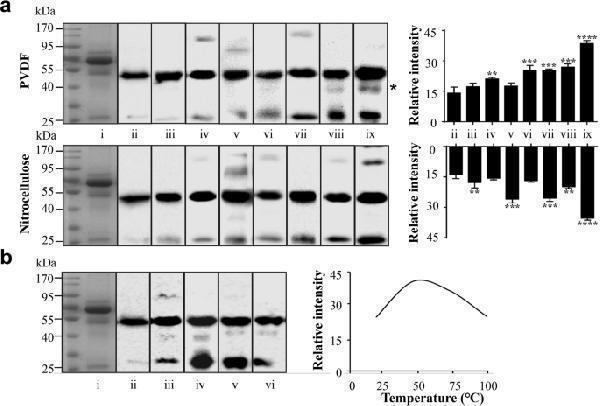 pa1599 41598_2019_43039_fig1_html