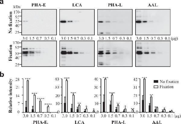 pa1599 41598_2019_43039_fig4_html