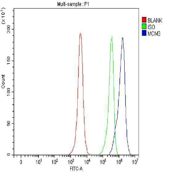 pa1642 mcm3 primary antibodies fcm testing 6