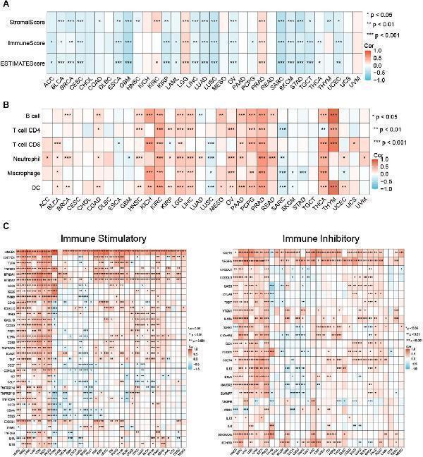 Relationship between MCM expression and immune-related features in pan-cancer