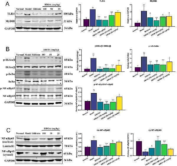 pa1660 fphar 15 1447560 g006