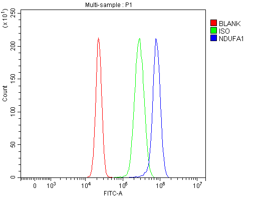 pa1661 ndufa1 primary antibodies fcm testing 7