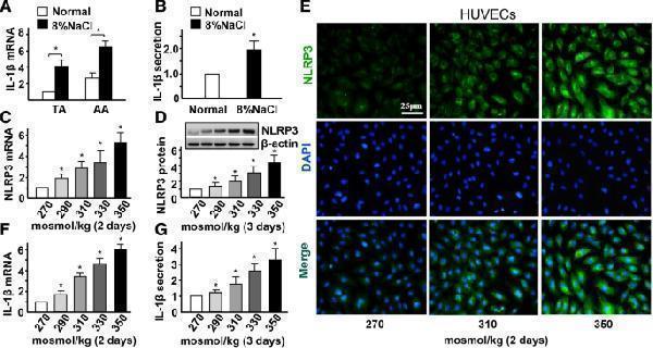 pa1665 12964_2019_406_fig2_html
