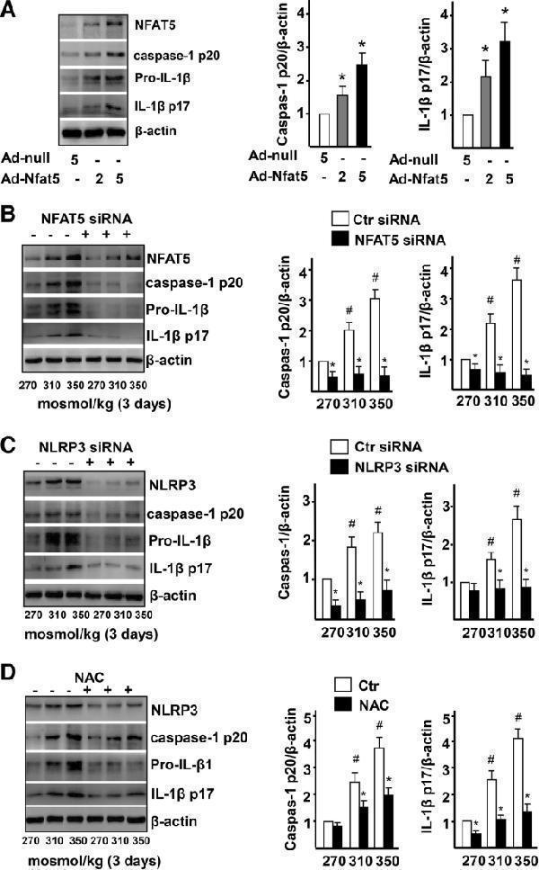 pa1665 12964_2019_406_fig5_html
